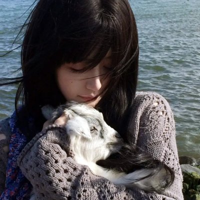 偷龙转猫