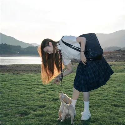 毒舌大状
